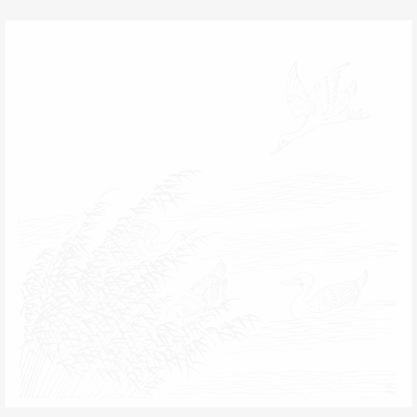 File - Imperial Encyclopaedia - Animal Kingdom - Pic037 - Line Art, transparent png