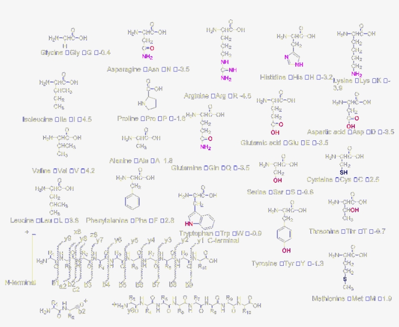 Introduction - Handwriting, transparent png