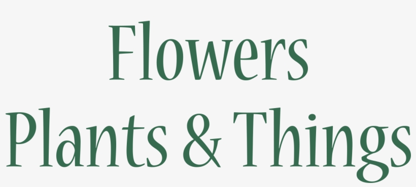 Bluestockings Of Japan: New Woman Essays, transparent png