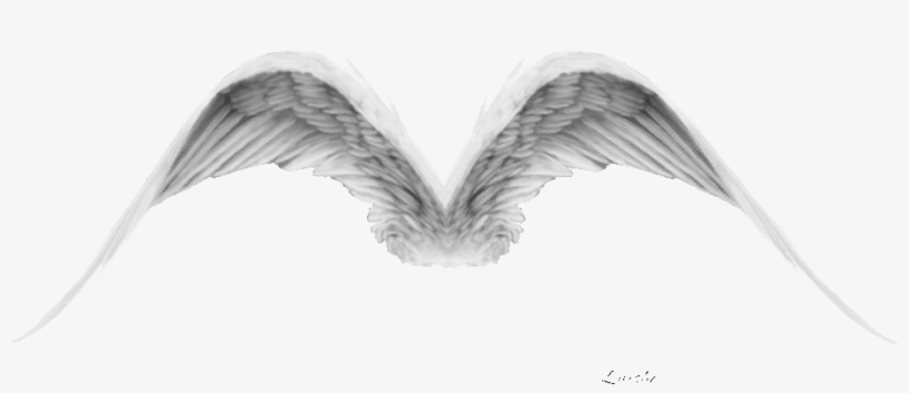 Codes For Insertion - Angel Of God Gif, transparent png