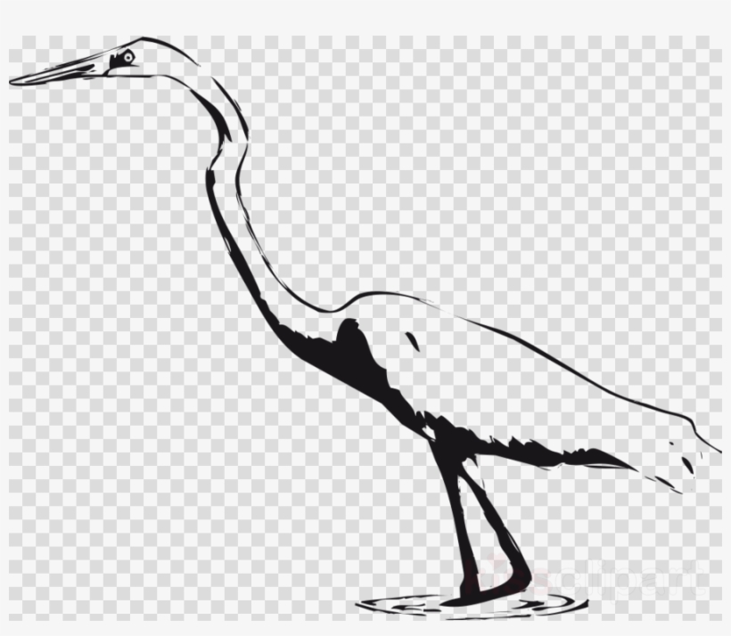 Download Heron Clipart Green Heron Crane Bird Line - Heart Balloon Transparent Background, transparent png