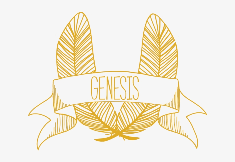 Demo Reel - Video - Illustration, transparent png