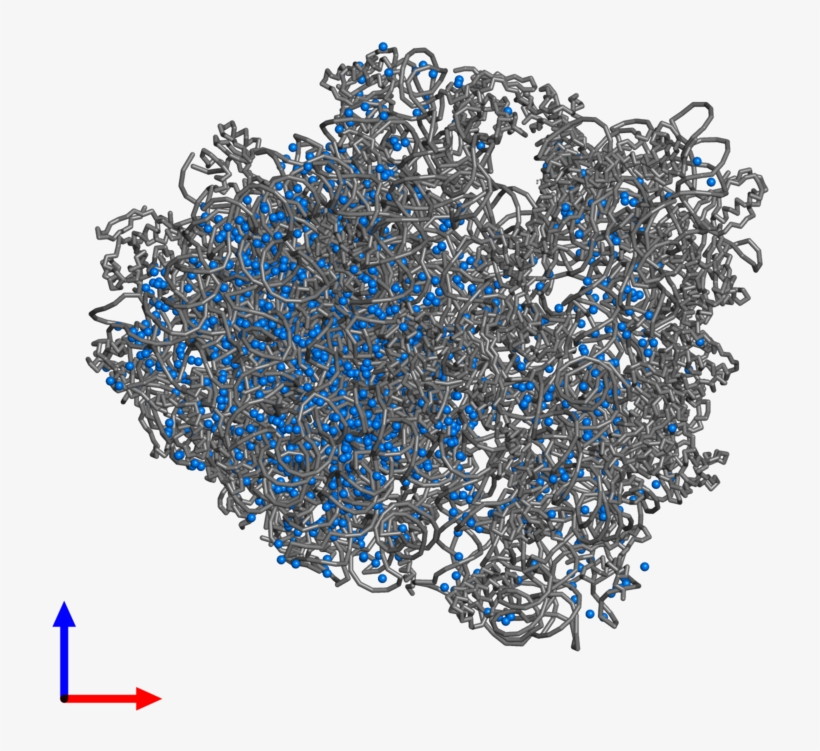 <div Class='caption-body'>pdb Entry 5j4b Contains 1706 - Circle, transparent png