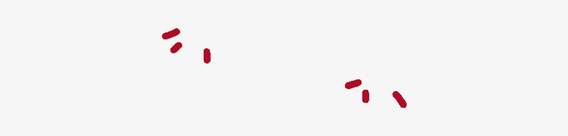 Text Red Font Line - Cat, transparent png