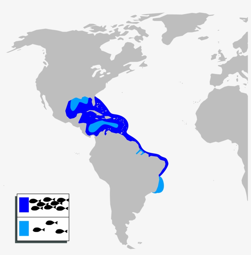 Indian China Korea Japan, transparent png