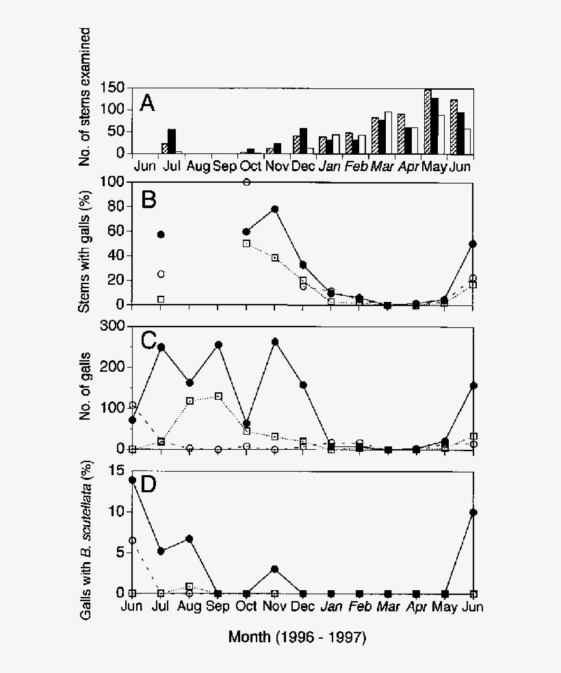 Number Of Stems Examined Of The Three Wild Gourd Plants, - Diagram, transparent png