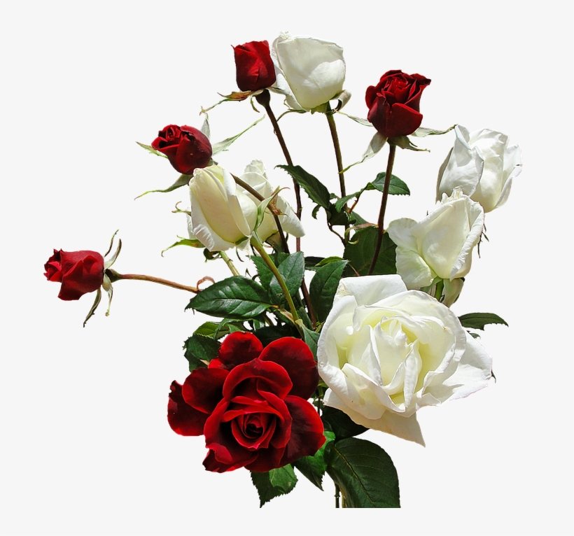 White Rose Png 5, Buy Clip Art - Transparent Bouquet, transparent png