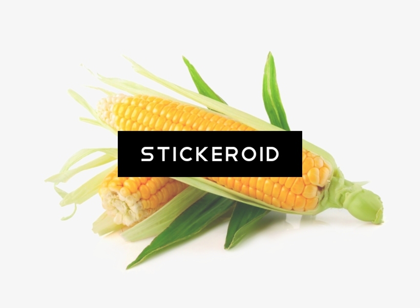 Yellow Corn - Ferry Morse Fm Foil Ornamental Rainbow Mc Sweet Corn, transparent png