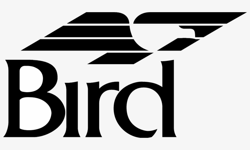 Bird Vector - Bird, transparent png