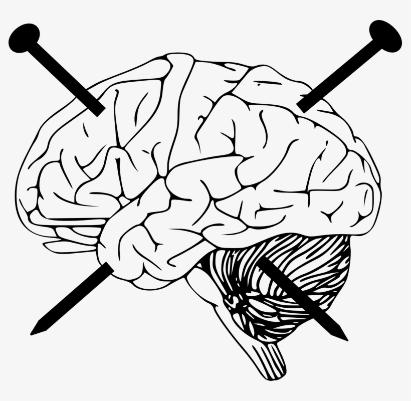 Brain Transparent, transparent png