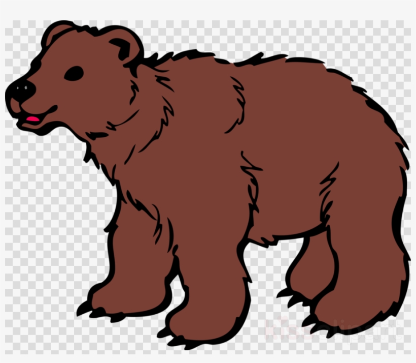 Brown Bear Clipart Polar Bear Giant Panda - Bear Clipart, transparent png