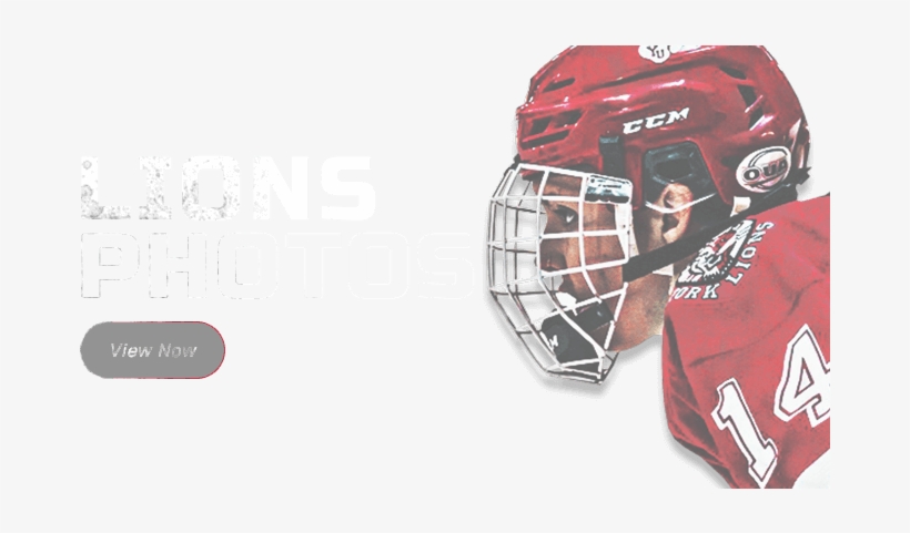 Goaltender Mask 768x400 PNG Download PNGkit