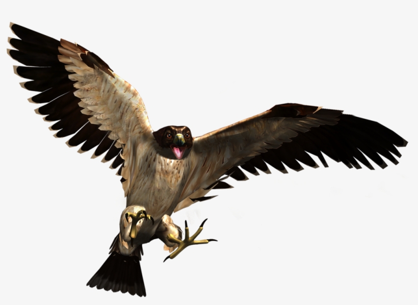 Wild Life Fs Art 06 - Transparent Wild Animals Png, transparent png