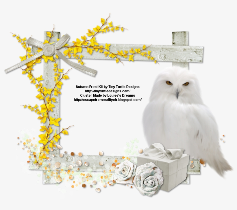Then Right Click And Select Save Image As - Snowy Owl, transparent png
