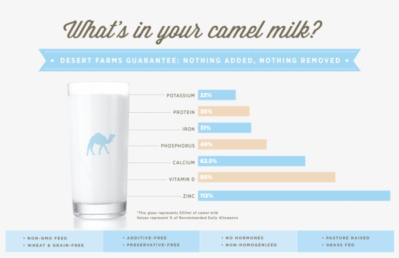 Provides A Cow Milk Alternative - You Had The Power All Along My Dear Magnetic Bumper, transparent png