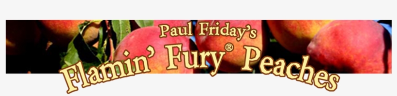 The Latest And Greatest - Mcintosh, transparent png