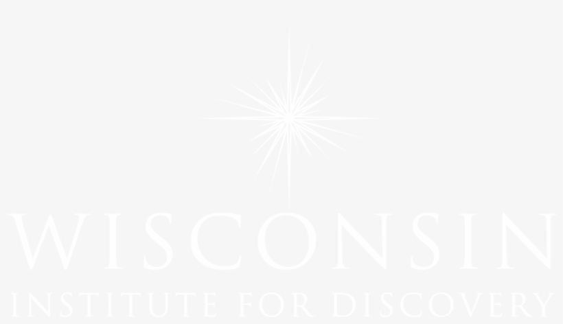 Johns Hopkins White Logo, transparent png