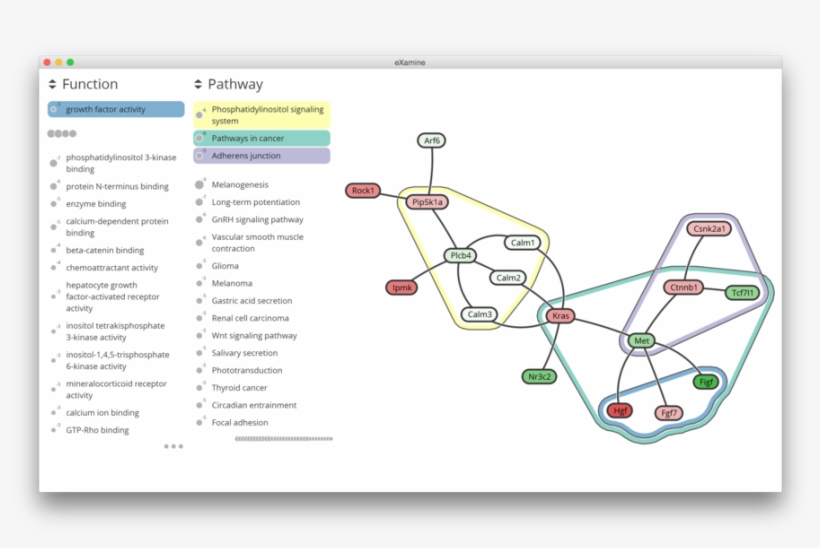Furthermore, We Work On New Methods For Genotype/phenotype - Email, transparent png