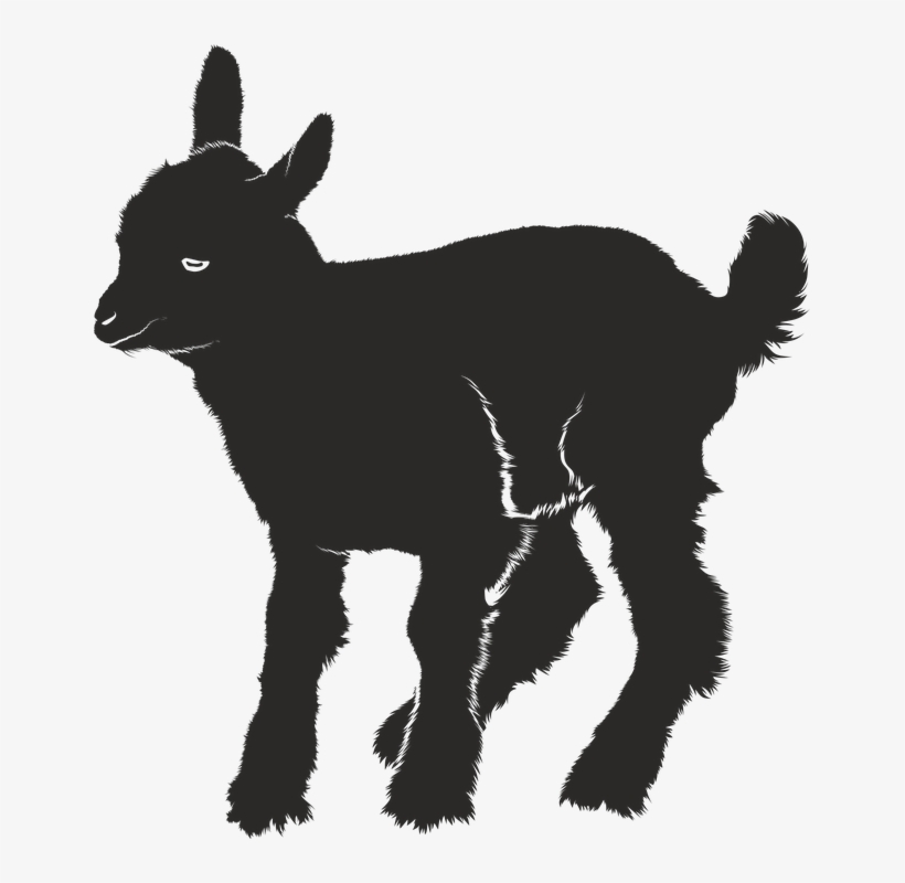 Goat-2262099evq Wsz 960 720 - Baby Goat Silhouette, transparent png