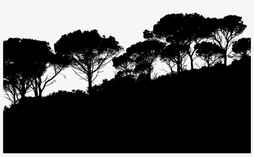 Free Nature Png Black And White - Steam Drills, Treadmills, And Shooting Stars - A Story, transparent png