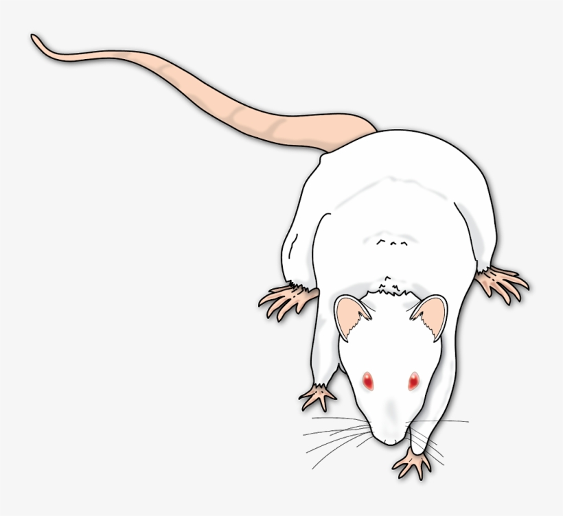 3 - 7 - - Illustration, transparent png