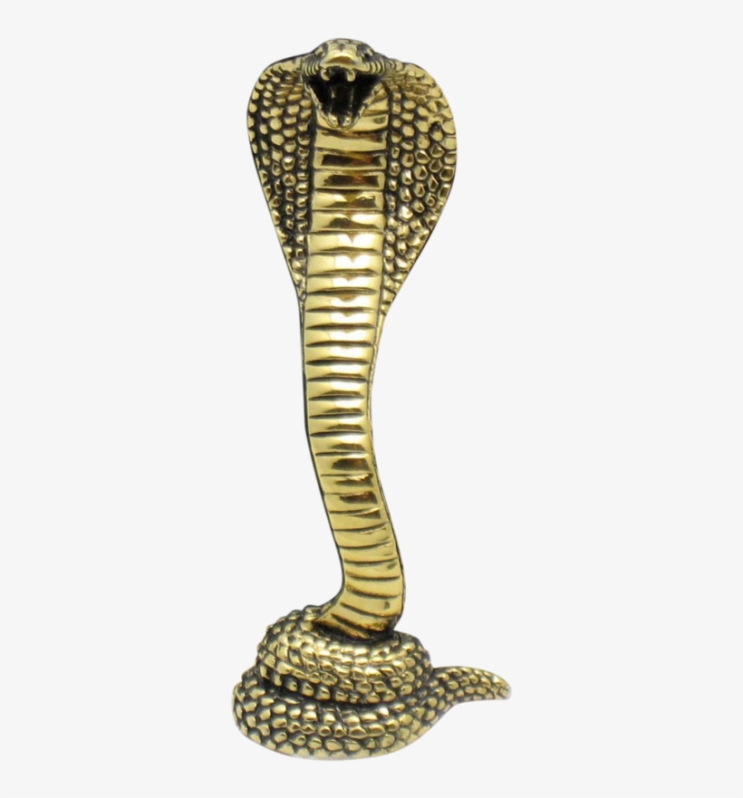 Cobra Snake Png Hd - Snake Png Hd, transparent png