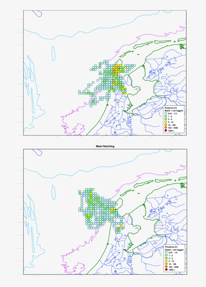 Time Spent Per 2x3' Rectangle In And Around The Breeding - Lesser Black-backed Gull, transparent png