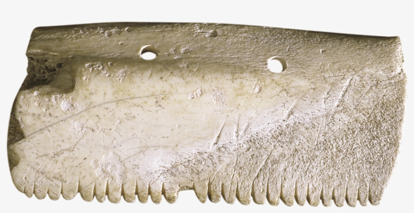 Peine De Hueso, transparent png