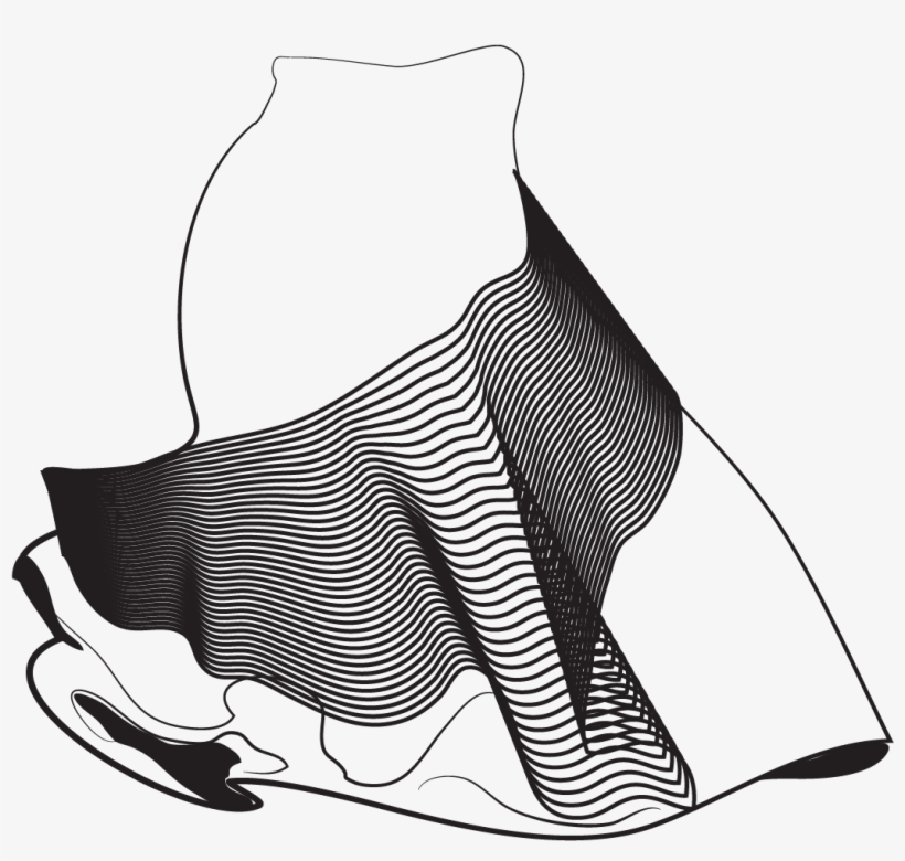 Nuevo Leon - Illustration, transparent png