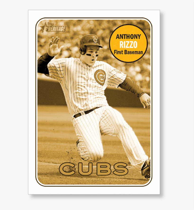 Anthony Rizzo - College Baseball, transparent png