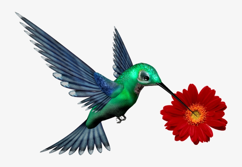 Previous - Editing New Pngs, transparent png