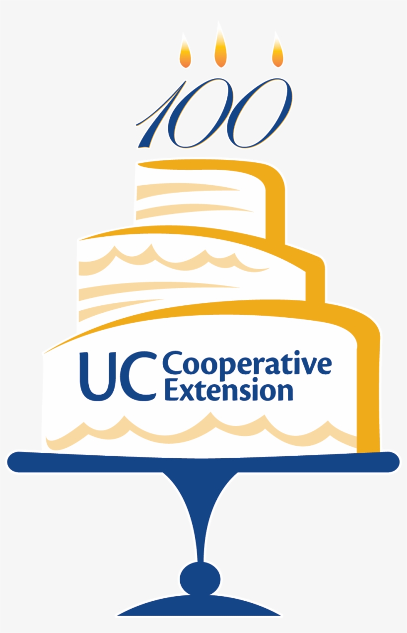 Centennial Cake Logo - Cake, transparent png