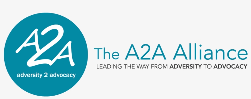 Everything Disc Certified Trainer, transparent png