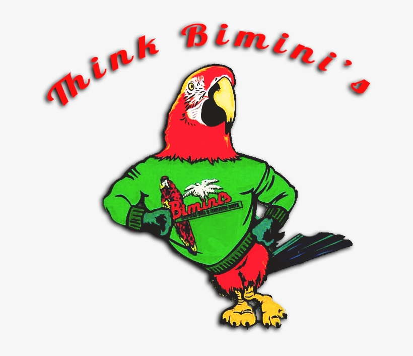 Budgie, transparent png