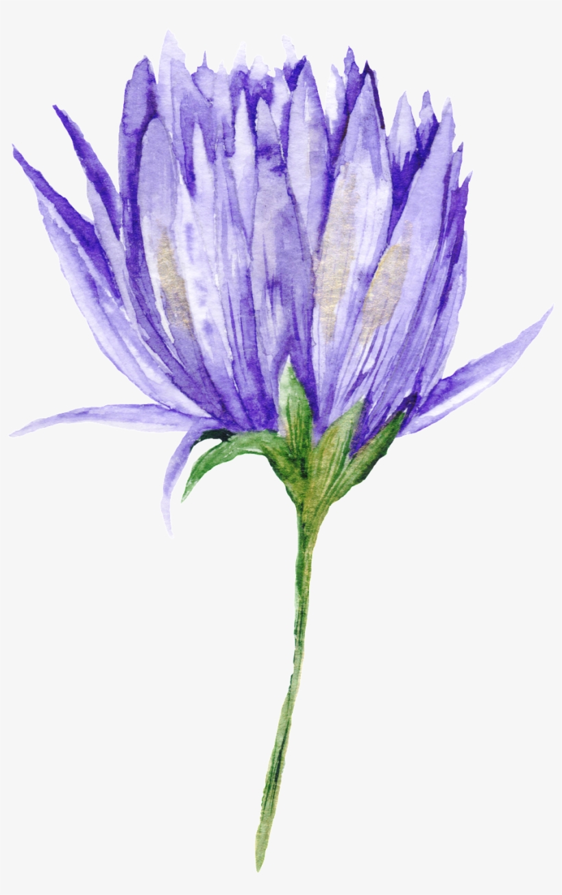 Purple Black Flower Branch Transparent Decorative - Fondo Blanco Flores Pintados, transparent png