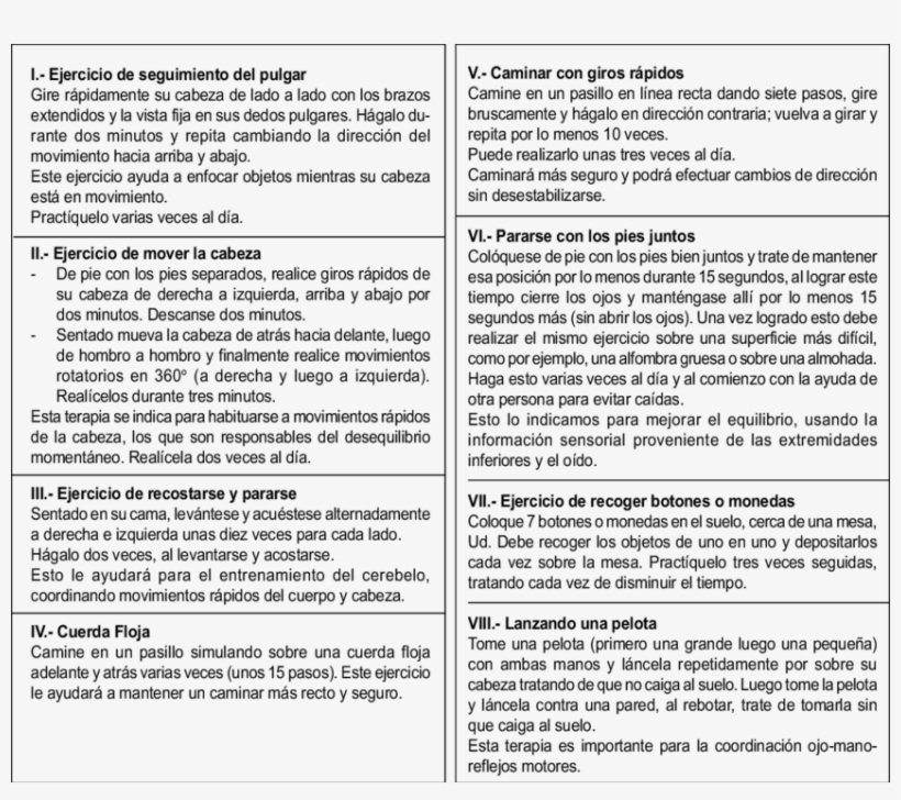 Programa De Rehabilitación Vestibular Entregado A Grupo - Vestibular System, transparent png