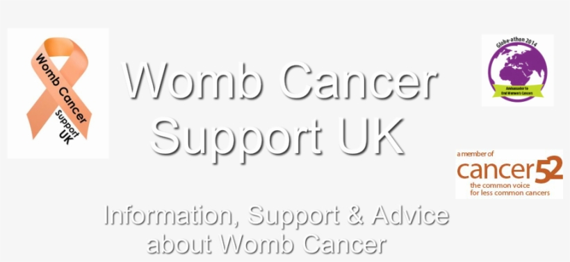 Uterus, transparent png