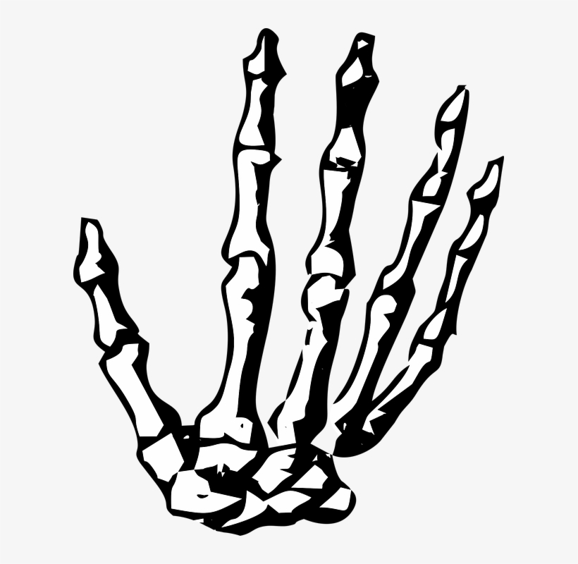Thumb Image - Skeleton Hand No Background, transparent png