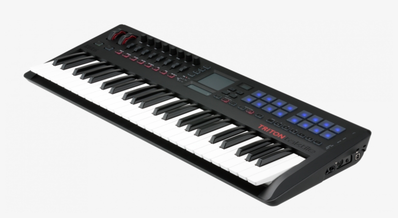 Korg Triton Taktile 49 Key Usb Controller/synthesizer - Korg Triton Taktile 49, transparent png