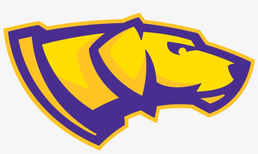 Wisconsin Stevens Point Uw Stevens Point Women's Basketball - Uw Stevens Point, transparent png