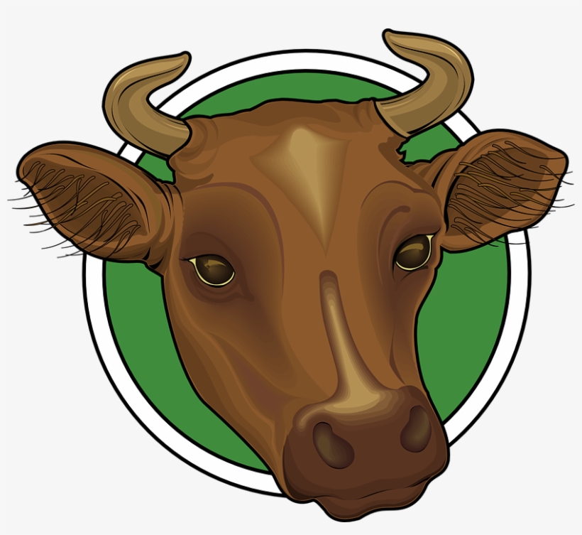 Cabeza De Vaca Png - Head Of A Cow, transparent png