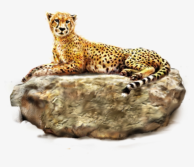 Cheetah Png Images Bulk - Encyclopedia Of Animals [book], transparent png