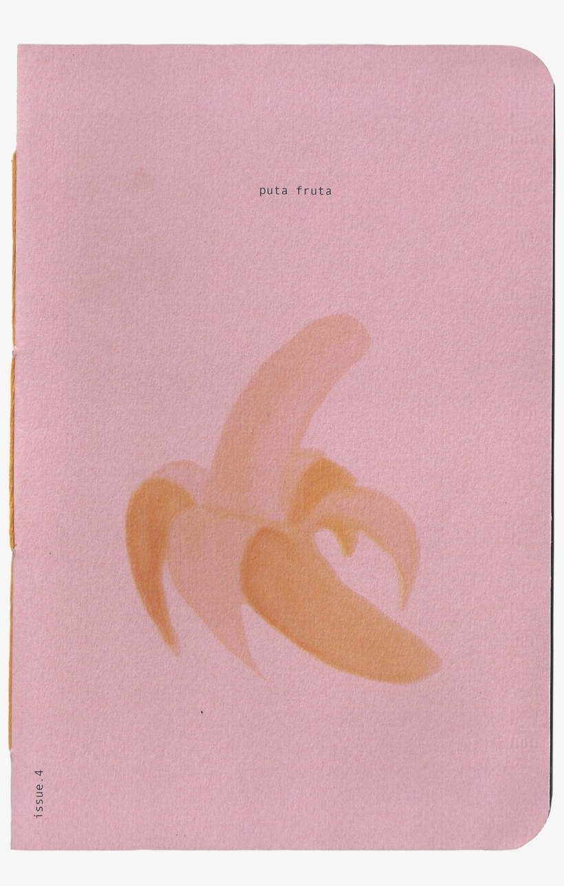 Bald Eagle, transparent png