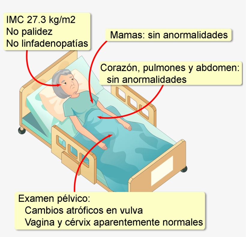 Historial Médico Sin Datos De Importancia, No Usa Drogas - Diagram, transparent png