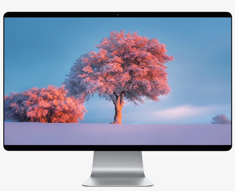 Score 50% - Snowy Covered Trees And Ground Pattern Decorative Hanging, transparent png