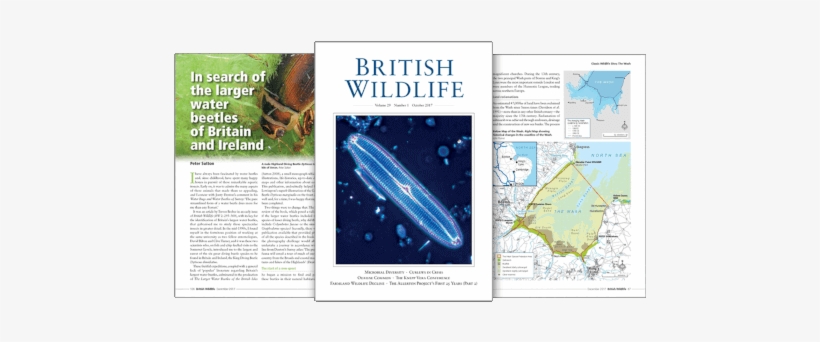 Go To British Wildlife - Atlas, transparent png