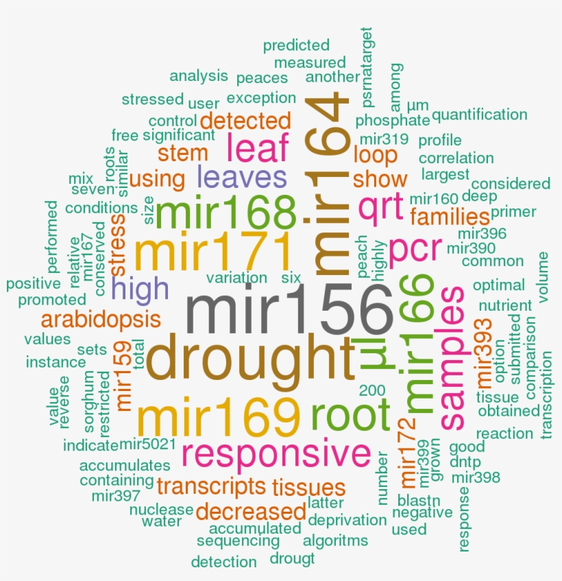Stem Loop Sequence Ppe Mir395i - Word Cloud In R Studio, transparent png