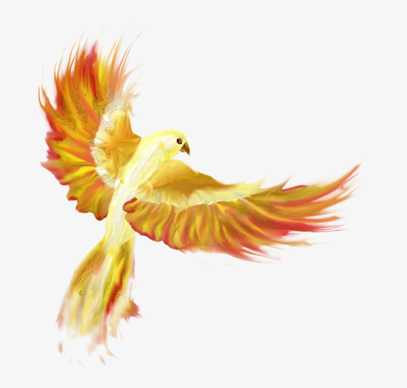 Firebird Png - Cat, transparent png