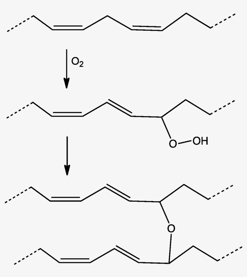 El Doble Enlace De Otro Ácido Graso Formando Un Polímero - Oxidação Do Ácido Linoleico, transparent png