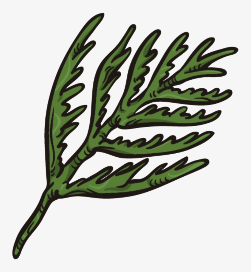 Coral Leaves Png Transparent - Illustration, transparent png